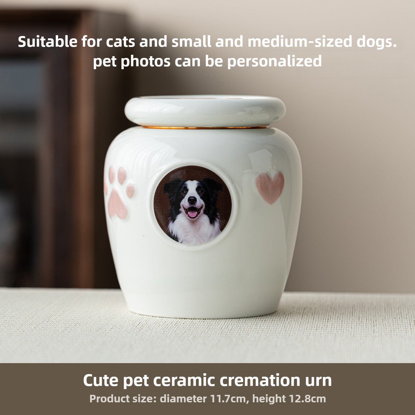 Personalized Cute Ceramic Pet Urn with Photo – Memorial Ashes Jar for Cats & Dogs