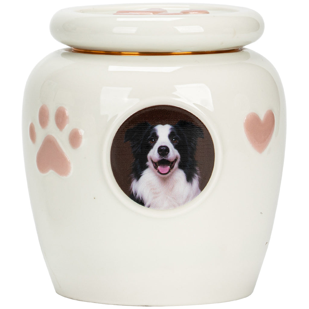 Personalized Ceramic Pet Urn with Photo