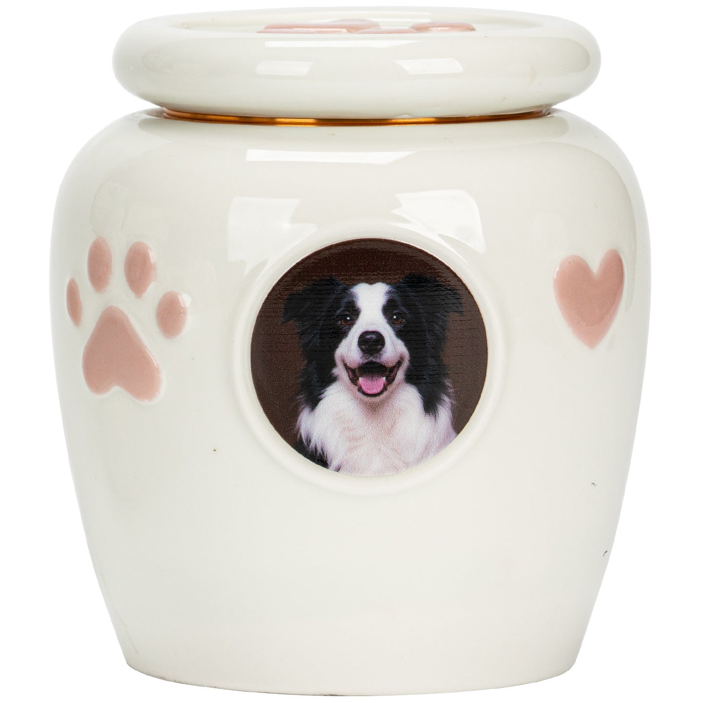 Personalized Cute Ceramic Pet Urn with Photo – Memorial Ashes Jar for Cats & Dogs