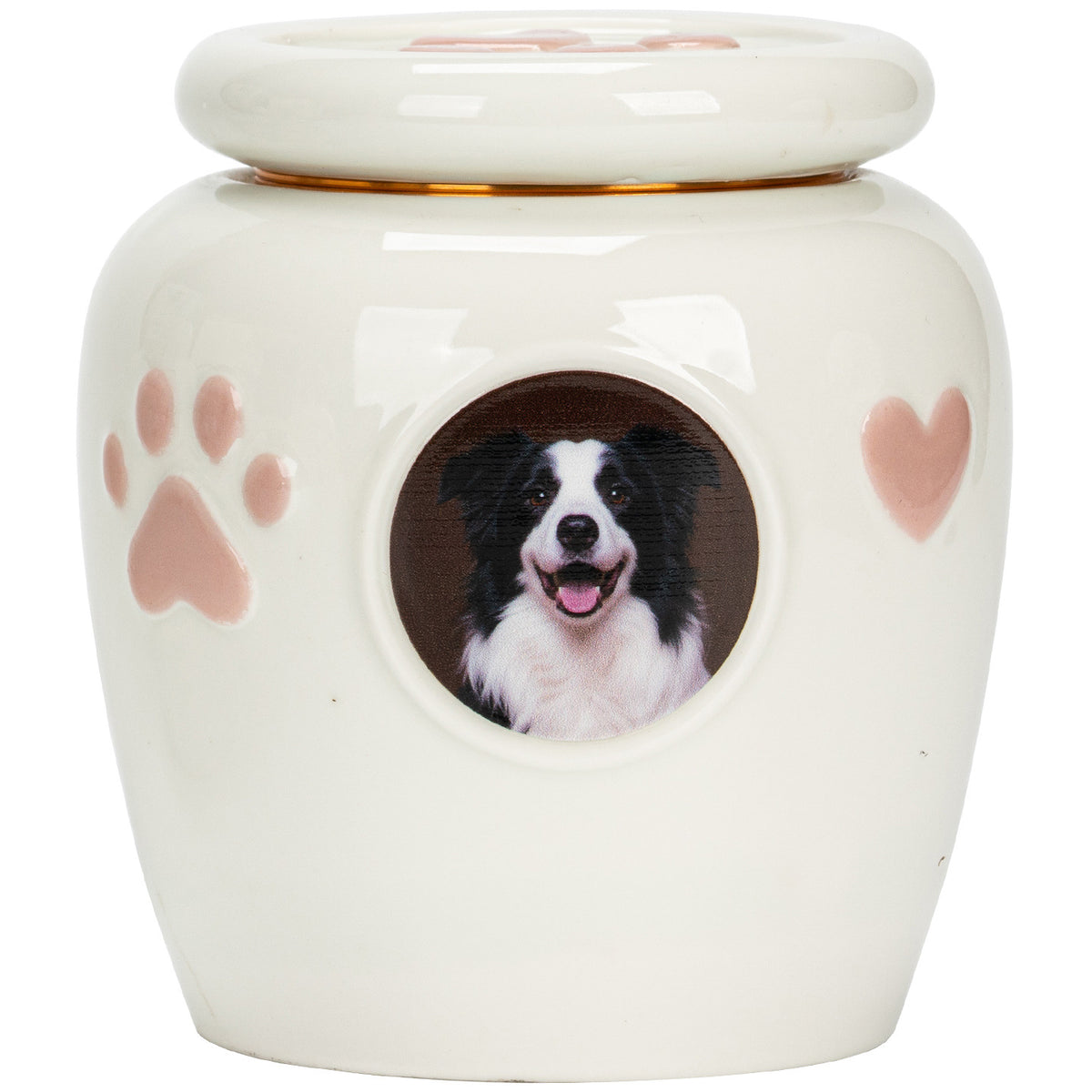 Personalized Ceramic Pet Urn with Photo