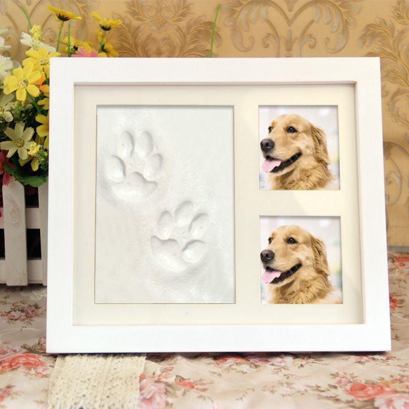 Pet Paw Print Memorial Frame