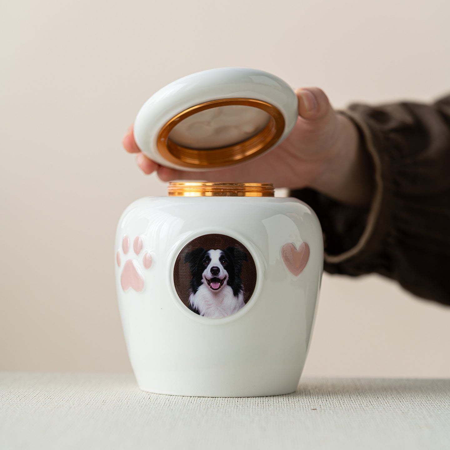 Personalized Cute Ceramic Pet Urn with Photo – Memorial Ashes Jar for Cats & Dogs