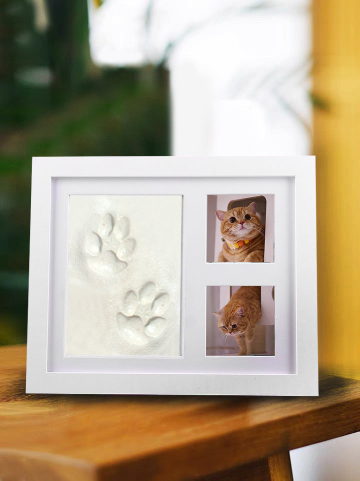 Pet Paw Print Memorial Frame