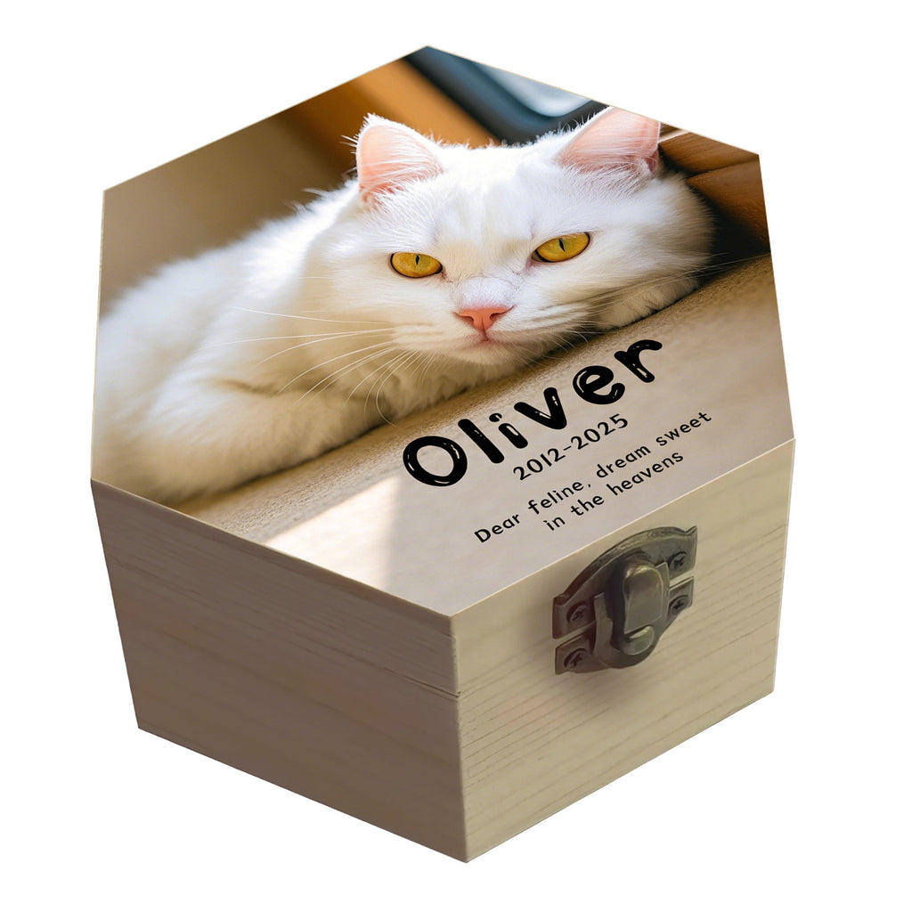 Personalized Hexagon Wooden Pet Urn