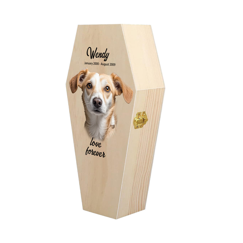 Personalized Coffin-Shaped Wooden Pet Urn