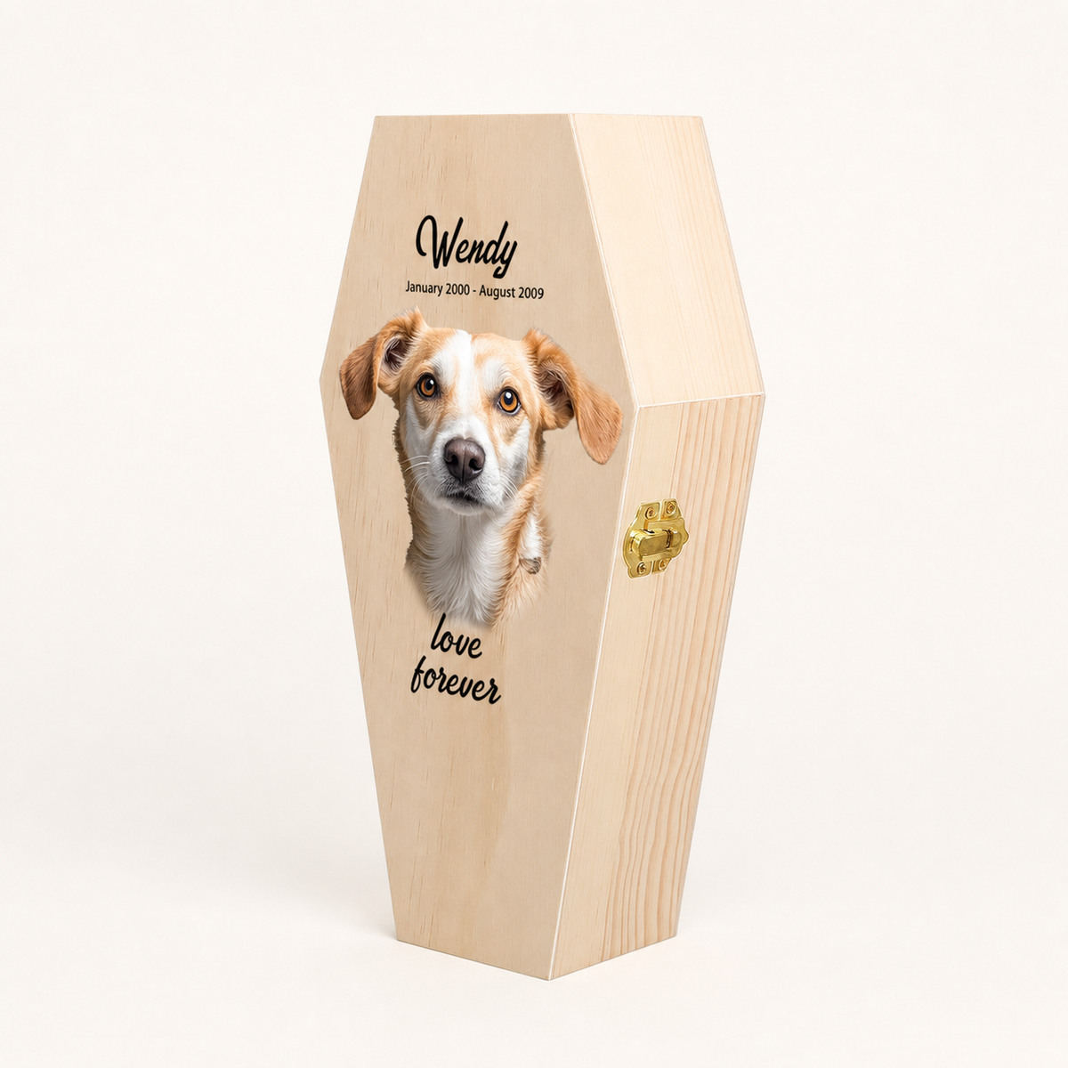 Personalized Coffin-Shaped Wooden Pet Urn Main image