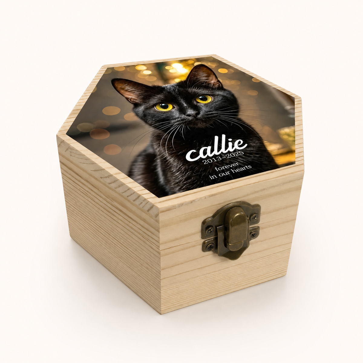 Personalized Hexagon Wooden Pet Urn